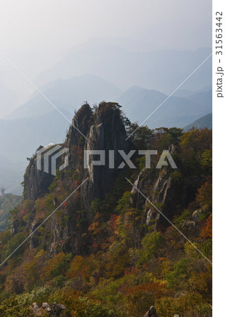 秋 大屯 将軍峰 31563442