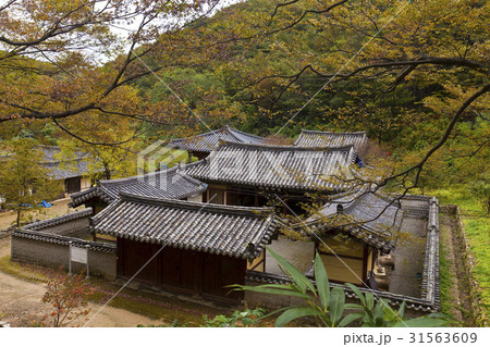 古建築 木 雲谷書院 31563609