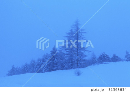 江原道 大関嶺 平昌郡 31563634