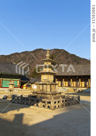 慶南 丁寧トップ 韓国 31563661