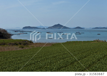 田畑 海 全羅南道 31563687