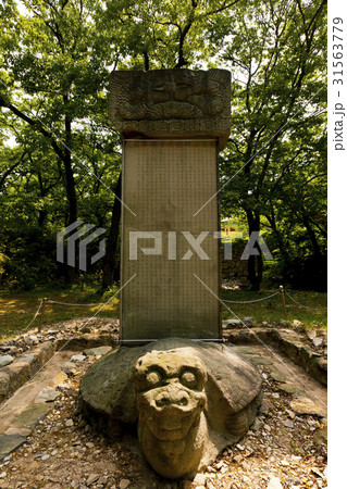 ゼオライト 麗水市 韓国 31563779