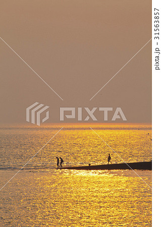 海 信徒 シルエット 31563857