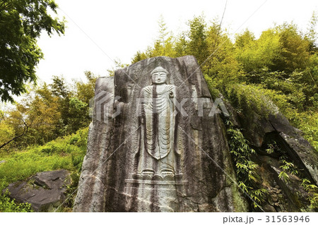 慶南 仏 韓国 31563946