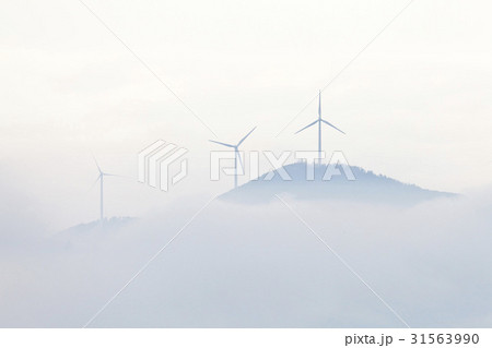 江原道 雲海 太白市 31563990