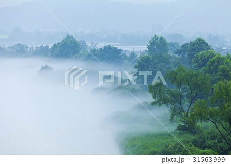 江原道 昭陽江 霧 31563999