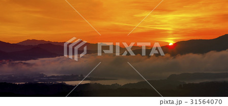 ヅムルモリ ヤンスリ 掛け軸島 31564070