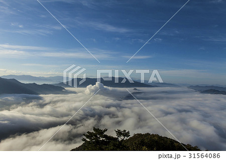 江原道 蓬莱山 寧越郡 31564086