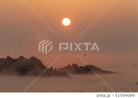 岩 石 グー 31564089