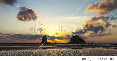 コッチ 安眠島 忠南 31564104