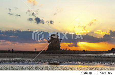 コッチ 安眠島 忠南 31564105