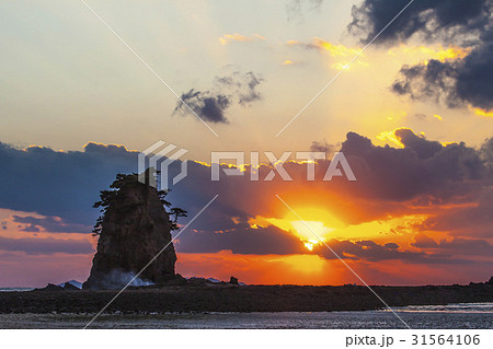 コッチ 安眠島 忠南 31564106