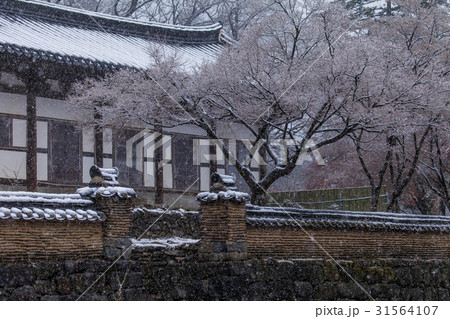 麻谷寺 忠南 韓国 31564107