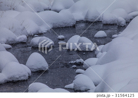 江陵市 谷 国立公園 31564125