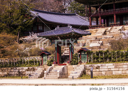 奎章閣 オスムン 宙合楼 31564156
