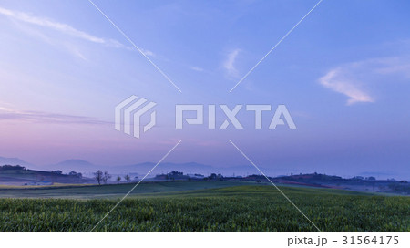 麦畑 全北 風景 31564175