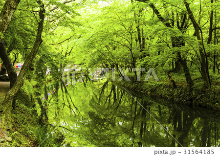 兜率天 禅雲寺 全北 31564185