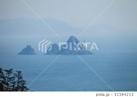 海 釜山 霧 31564213