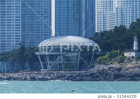 高層ビル 椿島 釜山 31564220