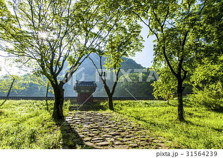 ベクアムサン 白羊寺 全羅南道 31564239