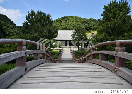 6月の称名寺 31564254