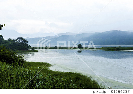 慶南 湿地 牛浦 31564257