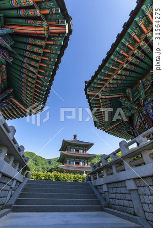 モノラル ボタプサ 忠清北道 31564275