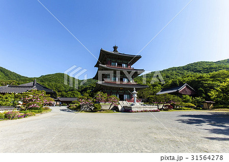 ボタプサ 忠清北道 韓国 31564278