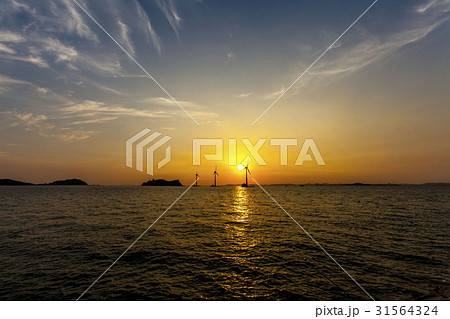 ヌエソム 大阜島 安山市 31564324