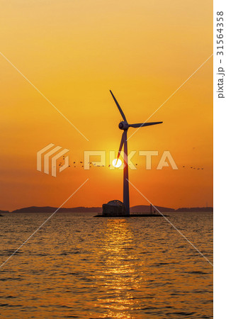 大阜島 安山市 タービン 31564358