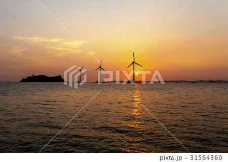 ヌエソム 大阜島 安山市 31564360