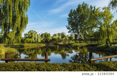 ソウル 龍山家族公園 龍山区 31564394