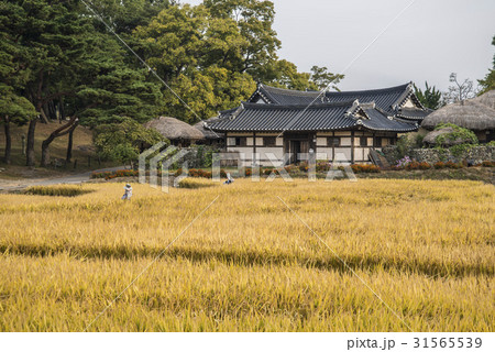 山 牙山市 ウェアム民俗村 31565539