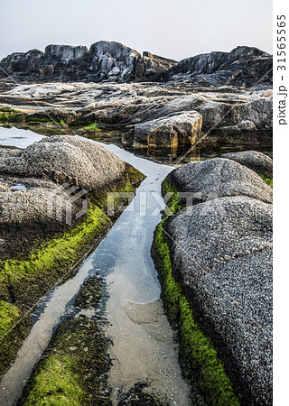 江原道 石 束草市 31565565