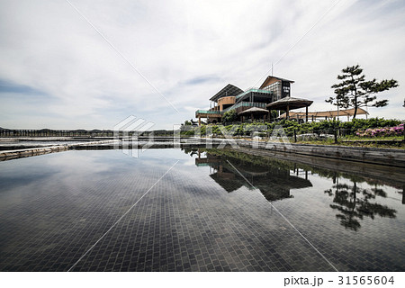 生態公園 塩田 仁川 31565604