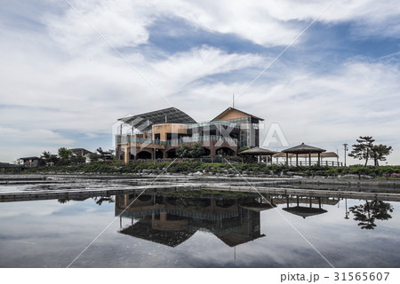 公園 生態公園 塩田 31565607