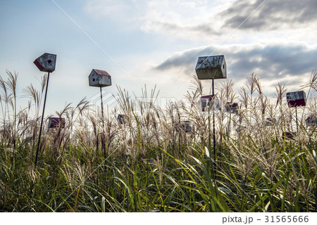 麻浦区 マポグ ソウル 31565666