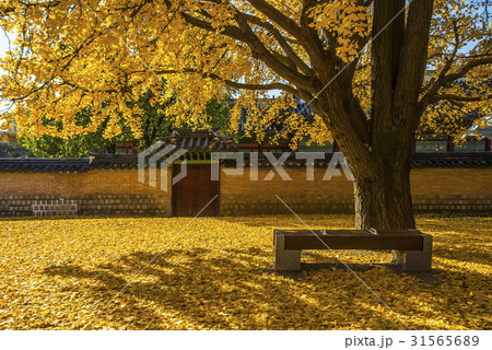 景福宮 宮殿 文化財 31565689