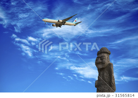 大韓航空 トルハルバン 飛行機 31565814