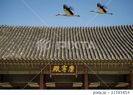 2 景福宮 ソウル 31565854