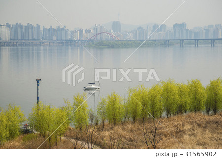 麻浦区 マポグ 西江大橋 31565902