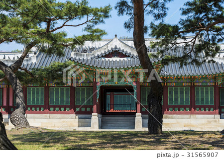 ソウル 松 昌徳宮 31565907