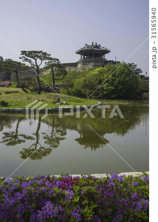 京畿道 キョンギド 水原華城 31565940