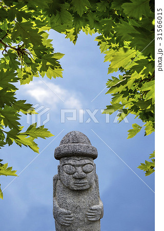 葉 木の葉 トルハルバン 31566015