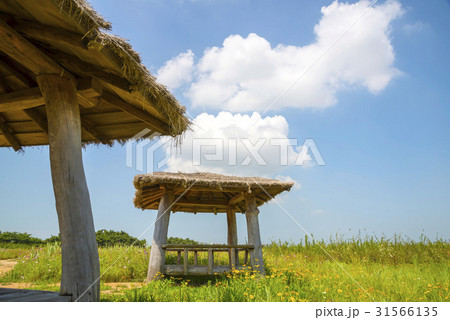 永宗島 ヨンジョンド 番小屋 31566135