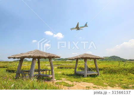 雲 大韓航空 飛行機 31566137