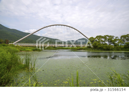 京畿道 キョンギド 南楊州市 31566154