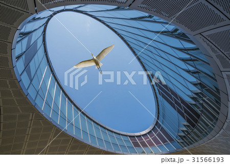 mbc新社屋 放送局 白鷺 31566193