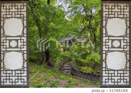 ソウル 鍾路区 昌徳宮 31566268