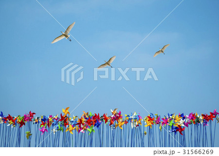 風車 白鷺 平和ヌリ公園 31566269